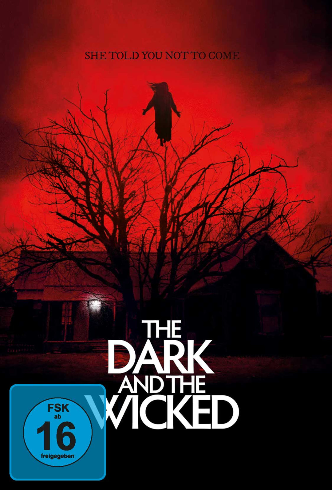 The Dark And The Wicked  - Limited 2-Disc Mediabook BD+DVD Cover D